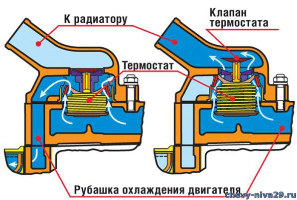 картинка на профилактике